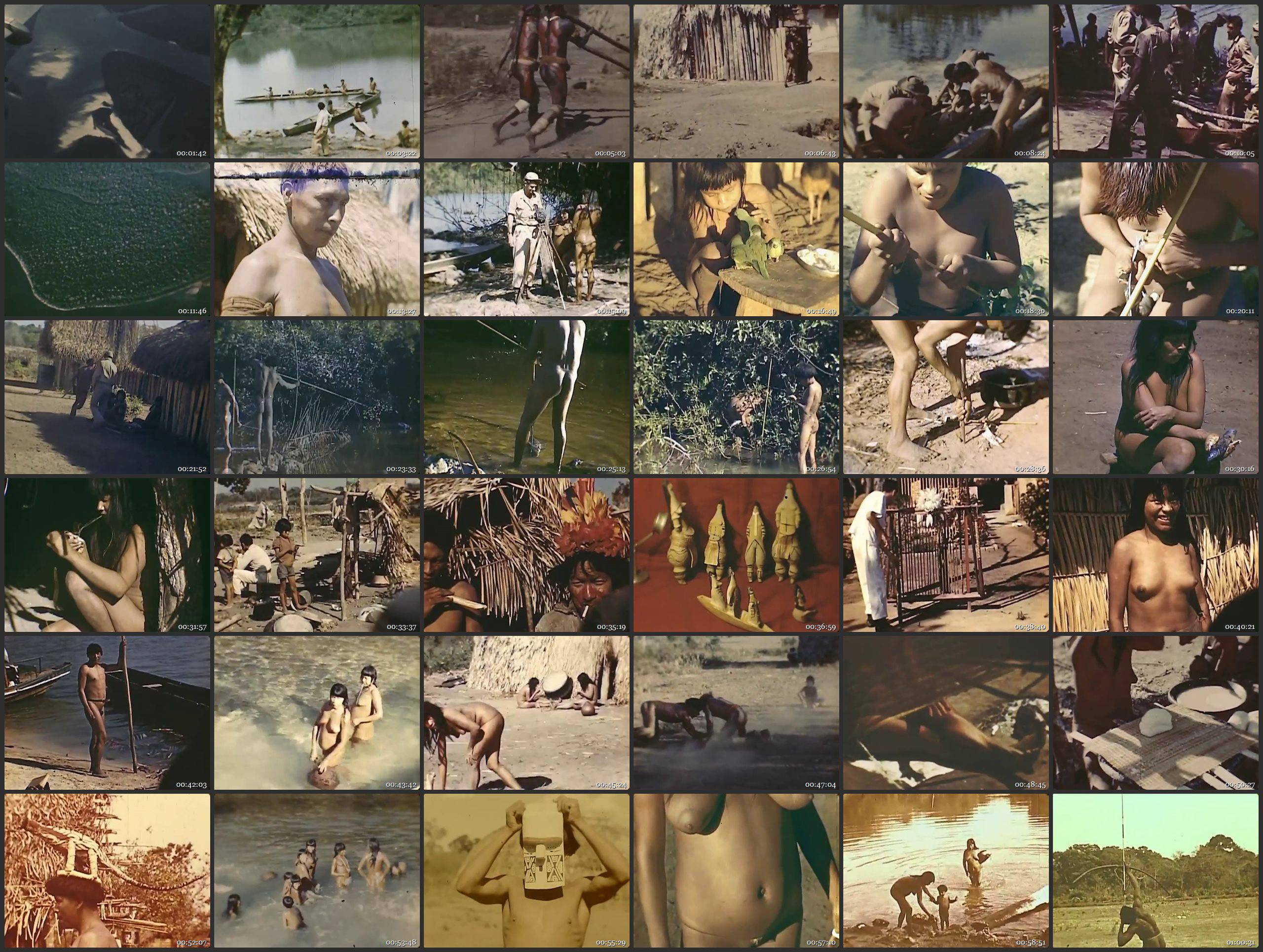Nudist Videos Xingu Indians - Expedition to rainforests of Brazil in 1948 - Thumbnails