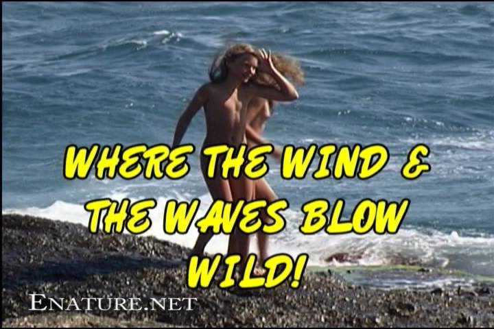 Enature.net Where the Wind and the Waves Blow Wild! - Poster